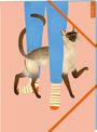 myNOTES Papeterie: Sammelmappe Katzen regieren die Welt, Buch