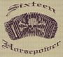 "Sixteen Horsepower" in gotischer Schrift. Eine Illustration mit einer Ziehharmonika und einem Totenkopfsymbol.