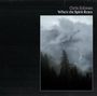 Chris Eckman (Walkabouts): Where The Spirit Rests, CD