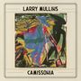 Larry Mullins: Camissonia (180g), LP