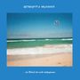 Retrogott & Hulk Hodn: Der Urlaub hat nicht stattgefunden (Limited Edition), LP