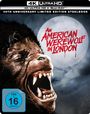 4K ULTRA HD + BLU-RAY, 45TH ANNIVERSARY LIMITED EDITION STEELBOOK. Ein Werwolf heult vor einem Vollmond. FSK 16.