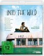 "INTO THE WILD" steht groß am Himmel über einem alten Bus. Ein Mann sitzt oben. FSK 12 ist unten links auf grünem Kreis.