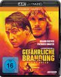 Kathryn Bigelow: Gefährliche Brandung (Ultra HD Blu-ray & Blu-ray), UHD,BR