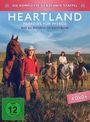 Ken Filewych: Heartland - Paradies für Pferde Staffel 17, DVD,DVD,DVD,DVD