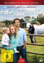 Dean Bennett: Heartland - Paradies für Pferde Staffel 12, DVD,DVD,DVD