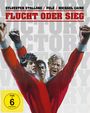 John Huston: Flucht oder Sieg (Blu-ray & DVD im Mediabook), BR,DVD