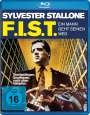 Norman Jewison: F.I.S.T. - Ein Mann geht seinen Weg (Special Edition) (Blu-ray), BR