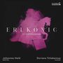 "ERLKÖNIG 13 VERTONUNGEN" auf rosa Pinselstrich, Figur auf Pferd. "Johannes Held Bariton", "Doriana Tchakarova Klavier".