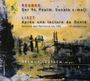 Julius Reubke: Orgelsonate "Psalm 94", CD