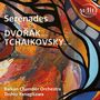 Antonin Dvorak: Serenade für Streicher op.22, CD