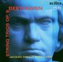 Ludwig van Beethoven: Streichtrios Nr.3-5 (op.9 Nr.1-3), CD