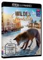 Klaus T. Steindl: Wildes Venedig (Ultra HD Blu-ray), UHD