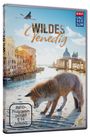 Klaus T. Steindl: Wildes Venedig, DVD