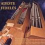 : Adeste Fideles - Weihnachtliche Musik an der großen Orgel des Magdeburger Doms, CD