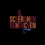 : Hermann Scherchen dirigiert, LP