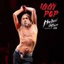 „Iggy Pop“ in roter Schrift, „Montreux Jazz Festival 2018“ in Weiß. Oberkörperfrei, energetische Pose.