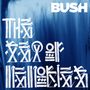Weißer Text "BUSH" auf blauem Hintergrund, darunter kalligrafieartige Symbole in Weiß.