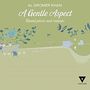 Al Gromer Khan: Gentle Aspect, CD