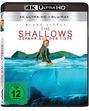 Jaume Collet-Serra: The Shallows (Ultra HD Blu-ray & Blu-ray), UHD,BR