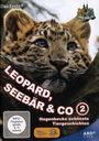 : Leopard, Seebär & Co. - Das Beste aus Hagenbecks Tierpark 2, DVD,DVD,DVD,DVD