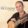 Alessandro Piccinini: Lautenwerke, CD