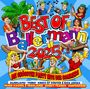 : Best Of Ballermann 2025: Die größten Party Hits des Sommers, CD,CD