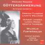 Richard Wagner: Götterdämmerung (Ausz.), CD,CD