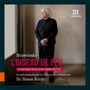 Text: Strawinsky L'OISEAU DE FEU & DISCOVER MUSIC WITH SIMON RATTLE, Symphonieorchester des Bayerischen Rundfunks, Sir Simon Rattle. Eine Person steht an einer Wand. Logo: BR KLASSIK.