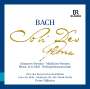 Johann Sebastian Bach: Die großen geistlichen Werke "Soli Deo Gloria" (ohne Werkeinführungen), CD,CD,CD,CD,CD,CD,CD,CD,CD