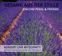 Joachim Pfahl: Gesang aus der Stille: Konzert-Livemitschnitt Weltfriedensversammlung Bad Wildungen, CD