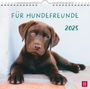 : Wandkalender 2025: Für Hundefreunde, KAL
