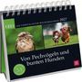 Postkartenkalender 2027: Von Pechvögeln und bunten Hunden, KAL