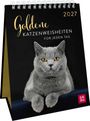 "Goldene Katzenweisheiten für jeden Tag 2027" steht auf einem Kalender. Eine graue Katze ist abgebildet. Unten ein rotes Logo.