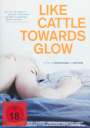 Zac Farley: Like Cattle Towards Glow (OmU), DVD