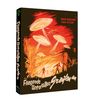 Fred F. Sears: Fliegende Untertassen greifen an (Blu-ray im Mediabook), BR