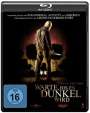 Alfonso Gomez-Rejon: Warte, bis es dunkel wird (2014) (Blu-ray), BR