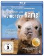 Luigi Falorni: Die Geschichte vom weinenden Kamel (Blu-ray), BR
