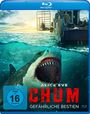 Text: FSK ab 16 freigegeben, Blu-ray Disc, ALICE EVE, CHUM, GEFÄHRLICHE BESTIEN. Ein Hai im Wasser vor einem Boot mit Käfig.