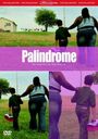 Todd Solondz: Palindrome, DVD
