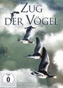 Jacques Cluzaud: Zug der Vögel, DVD,DVD