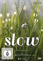 Sascha Seifert: Slow, DVD