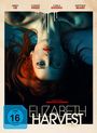 Sebastian Gutierrez: Elizabeth Harvest (Blu-ray & DVD im Mediabook), BR,DVD