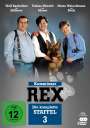 Oliver Hirschbiegel: Kommissar Rex Staffel 3, DVD,DVD,DVD