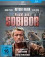 Jack Gold: Sobibor (1987) (Blu-ray), BR