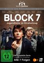 Hartmut Griesmayr: Block 7 - Jugendliche im Strafvollzug (Komplette Serie), DVD,DVD