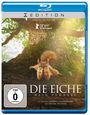 Laurent Charbonnier: Die Eiche - Mein Zuhause (Blu-ray), BR