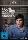 Peter Beauvais: Sechs Wochen im Leben der Brüder G., DVD