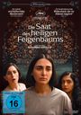 Mohammad Rasoulof: Die Saat des heiligen Feigenbaums, DVD