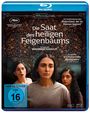 Mohammad Rasoulof: Die Saat des heiligen Feigenbaums (Blu-ray), BR